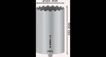 Bosch Accessories 2608601802 2608601802 Gatenzaag 300 mm 1 stuk(s)