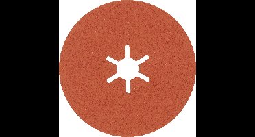 Bosch Accessories 2608621817 Fiberschijf Diameter 100 mm Staal, RVS 25 stuk(s)