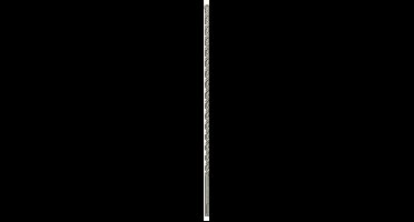 Bosch Accessories 2608831029 2608831029 Hamerboor 10 mm SDS-Plus 1 stuk(s)