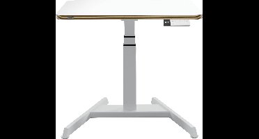 Leitz 65340001 Zit-sta-bureau Kleur tafelblad: Wit Elektrisch in hoogte verstelbaar, In hoogte verstelbaar Hoogte (max.): 1300 mm