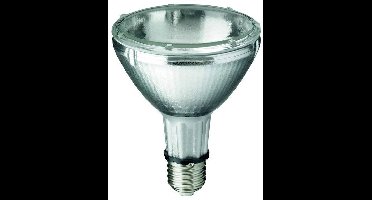 Philips 24194200 Halogeen metaaldamp 120 mm E27 39.1 W Energielabel: G (A - G) Warmwit 1 stuk(s)