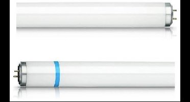 Philips UV-lamp G13 18 W (Ø x l) 28 mm x 604 mm 64 V 1 stuk(s)