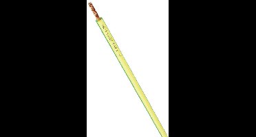 LAPP 4519005/100 Enkele ader 1 x 10 mm² Groen-geel 100 m