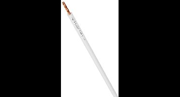 LAPP 4519053/100 Enkele ader 1 x 4 mm² Wit 100 m