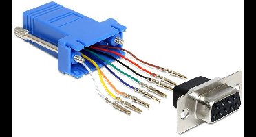 Delock 65430 RJ45 / VGA Adapter [1x D-sub bus 9-polig - 1x RJ45-bus] Zwart, Blauw, Zilver