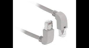 Delock 85861 RJ45 Netwerkkabel, patchkabel CAT 6 S/FTP 0.50 m Grijs 1 stuk(s)