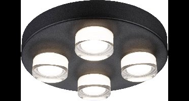 Paulmann Kame Lamp voor vochtige ruimte LED 16.8 W Warmwit Zwart