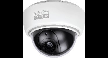 Basi 1000-0305 Dummy-camera Met knipperende LED