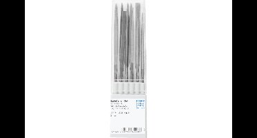 PFERD TOOLS 12712004 PAARD TOOLS precisie naaldvijl set 12-delig In kunststof box 140 mm Zwitserse kap 2, medium-fijn Lengte 140 mm 1 set(s)