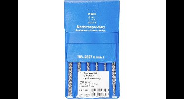PFERD TOOLS 12799020 PAARD TOOLS naaldrasp set 6-delig In kunststof tas 140 mm Zwitserse kap 2, voor hout, kunststof Lengte 140 mm 1 set(s)