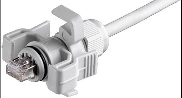 Telegärtner 100023013 RJ45-stekkerset variant 6 Stekker, recht Aantal polen: 8P8C Lichtgrijs 1 stuk(s)