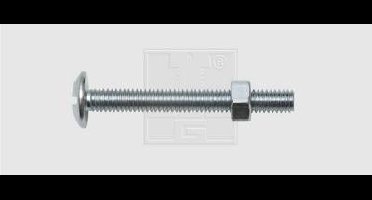 SWG 224 06 20 10 Montageschroeven M6 20 mm Buitenzeskant Staal Verzinkt 100 stuk(s)