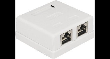 Delock 86269 Netwerkdoos Inbouw (in muur) Inzet met centraalstuk en frame CAT 6 2 poorten Wit