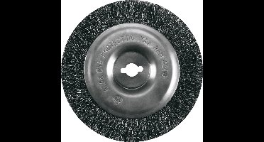 Einhell 3424100 1410 Reserveborstel voor voegenreiniger Staal