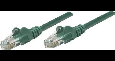 Intellinet 735407 RJ45 Netwerkkabel, patchkabel CAT 6 S/FTP 2.00 m Groen Vergulde steekcontacten 1 stuk(s)