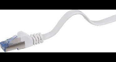 Renkforce RF-4149843 RJ45 Netwerkkabel, patchkabel CAT 6A U/FTP 3.00 m Grijs Zeer flexibel, Snagless, Vlambestendig 1 stuk(s)