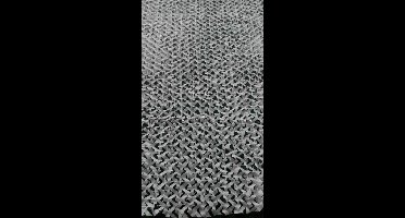 Berger & Schröter 31508 Camouflagenet Sichtschutz 300 cm x 200 cm 1 stuk(s)