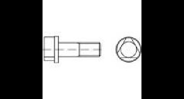 TOOLCRAFT 147116 Driekant schroeven M8 25 mm Driehoekige moer DIN 22424 Staal 100 stuk(s)