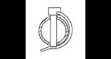 TOOLCRAFT Buisklem 50 stuk(s)