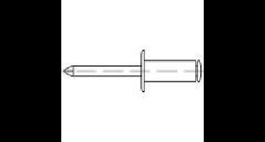TOOLCRAFT 159998 Open popnagel (Ø x l) 4 mm x 12 mm RVS Staal 500 stuk(s)