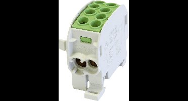 HoraeTec 080210-2-3 Hoofdleiding vertakkingsklem Messing, PA Grijs-wit (RAL 7035), Groen, Geel 1-polig 125 A 690 V Geleidertype: PE