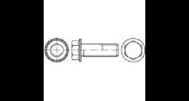 TOOLCRAFT 161424 Borgschroeven M6 16 mm Buitenzeskant Staal Galvanisch verzinkt 500 stuk(s)
