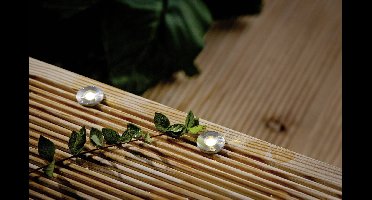 Paulmann 93694 Verlichtingssysteem Plug&Shine LED-buiteninbouwlamp (uitbreiding) Set van 5 stuks