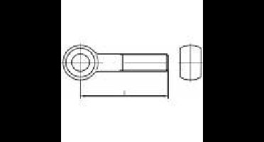 TOOLCRAFT TO-5357841 Oogbouten M6 60 mm DIN 444 RVS A4 10 stuk(s)