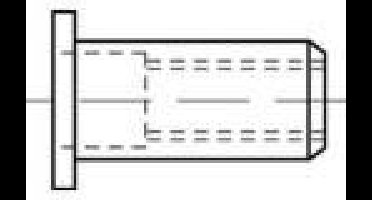 TOOLCRAFT TO-5380461 Popmoer M4 RVS 500 stuk(s)