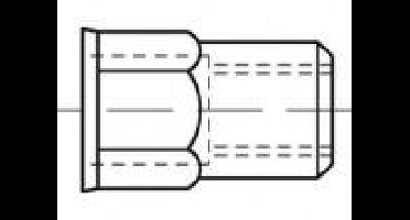 TOOLCRAFT TO-5380602 Popmoer M6 RVS 500 stuk(s)