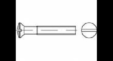 TOOLCRAFT TO-5392602 Bolverzonken schroeven M4 25 mm Sleuf Staal Galvanisch verzinkt 200 stuk(s)