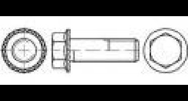 TOOLCRAFT TO-5444697 Borgschroeven M10 16 mm Buitenzeskant 88933 200 stuk(s)