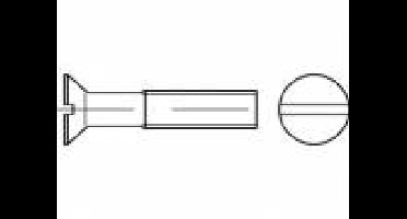 TOOLCRAFT TO-5452236 Verzonken schroeven M6 25 mm Sleuf Polyamide 200 stuk(s)