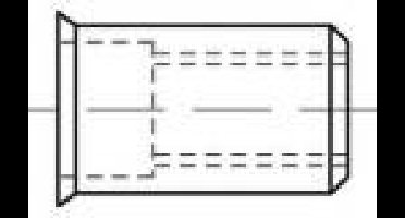 TOOLCRAFT TO-5455140 Popmoer M6 250 stuk(s)