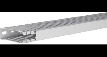Hager HA780025 Kabelgoot (l x b x h) 2000 x 25 x 80 mm 1 stuk(s) Lichtgrijs