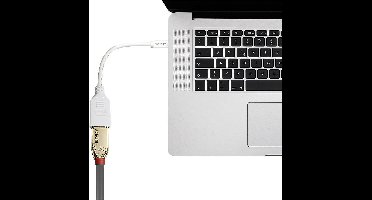 LINDY 41021 DisplayPort / Mini-displayport Adapterkabel [1x DisplayPort bus - 1x Mini-DisplayPort stekker] Wit 15.00 cm