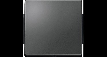 Merten 343114 Wisselschakelaar Afdekking AquaDesign Antraciet 1 stuk(s)