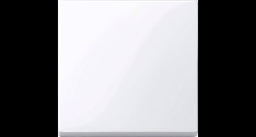 Merten 432125 Wisselschakelaar Afdekking System M Wit 1 stuk(s)