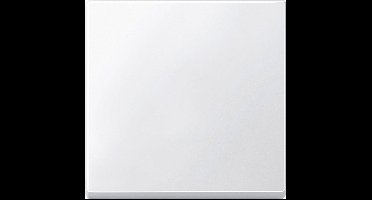 Merten 434119 Wisselschakelaar Afdekking System M Polar-wit 1 stuk(s)
