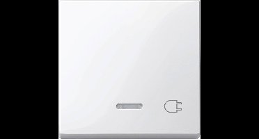 Merten 435219 Wisselschakelaar Afdekking System M Polar-wit 1 stuk(s)