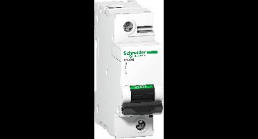 Schneider Electric A9N18342 A9N18342 Zekeringautomaat 100 A 144 V/DC
