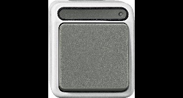 Merten MEG3102-8029 Uitschakelaar AquaStar Lichtgrijs 1 stuk(s)