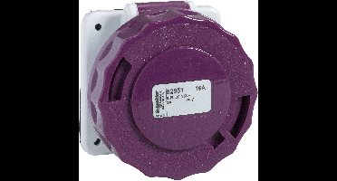 Schneider Electric 82951 82951 CEE-opbouwdoos 16 A 25 V 1 stuk(s)