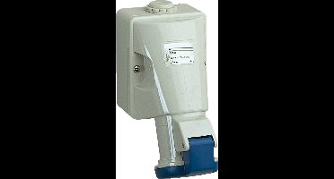 Schneider Electric 83116 83116 CEE-wandcontactdoos 32 A 250 V 1 stuk(s)