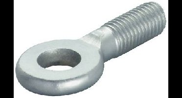 Fischer Oogbouten AG 10x25 100 stuk(s)
