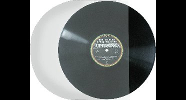 Analogis Binnenhoes voor grammofoonplaat