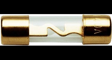 Sinuslive Car-HiFi glaszekering 40 A 1 stuk(s)