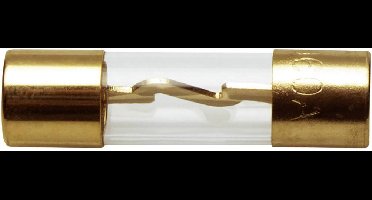 Sinuslive Car-HiFi glaszekering 60 A 1 stuk(s)