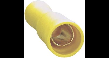 Sinuslive Car-HiFi bol kabelschoenhuls Set van 10 stuks 6 mm² 6 mm Verguld