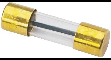 Sinuslive Car-HiFi glaszekering 100 A 1 stuk(s)